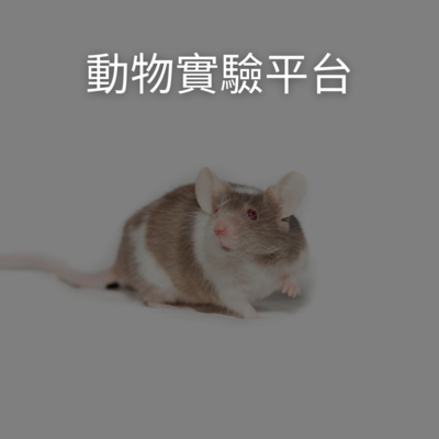 ImgDesc