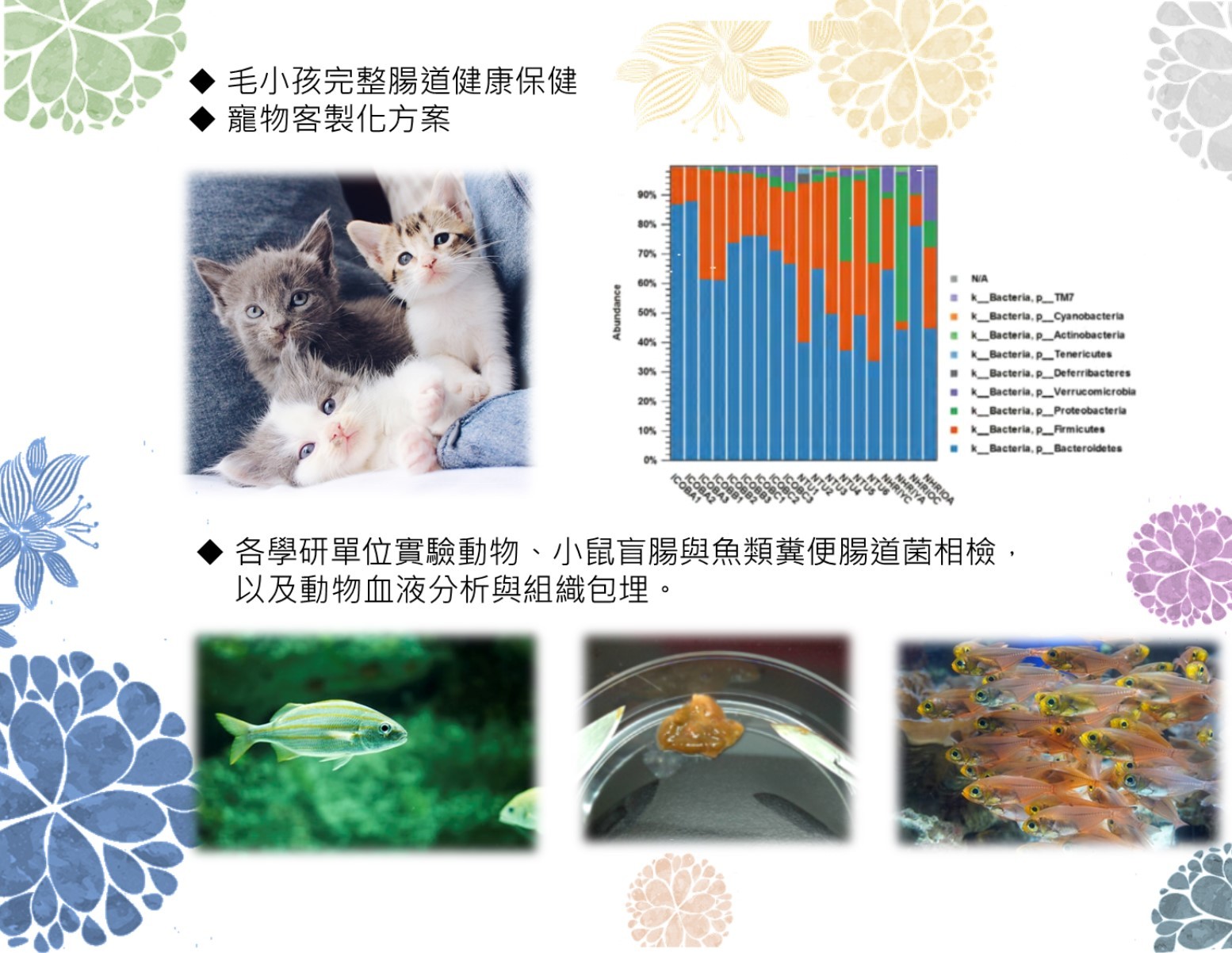 動物檢測平台2